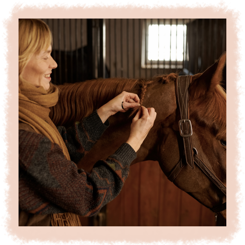 Fall/Winter Mane Care Tips for Horse Owners Carter Veterinary Carter Veterinary Services